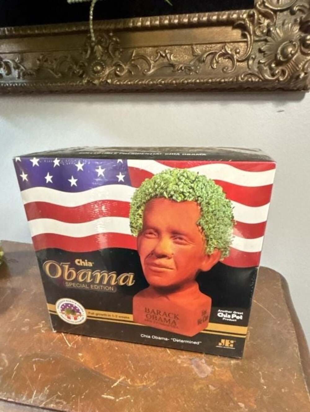 Chia Obama Special Edition - Determined - Collectible Presidential Chia Pet